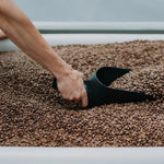 Rhino Bean Scoop 3 4726a6ce 9896 4dc5 b2d7 24c6c4046934