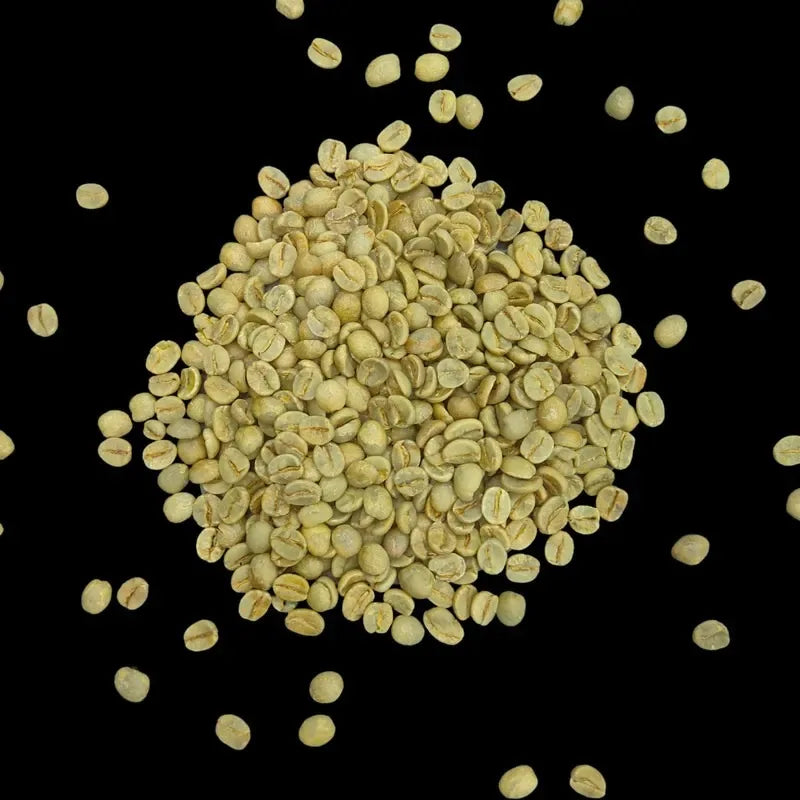 kavanoir brazil rio minas green 1kg 1