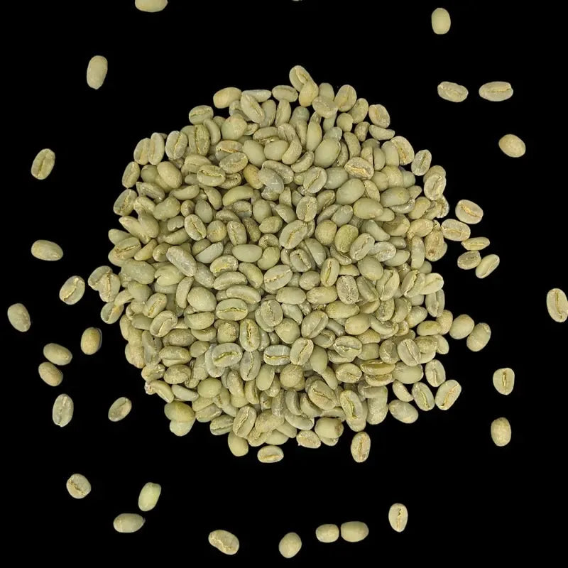 kava noir ethiopia sidamo kafa organic green coffee beans 1kg