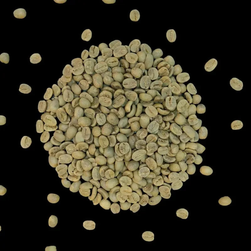 kava noir nicaragua screen20 green coffee beans 5kg